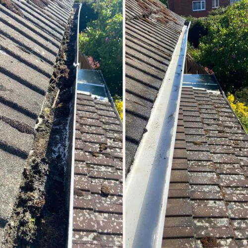 Gutter Cleaning