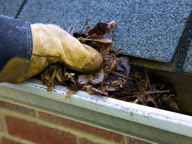 Gutter Cleaning